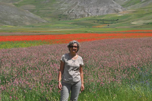 Hermoso Campo Flores Castelluccio Umbría Italia —  Fotos de Stock