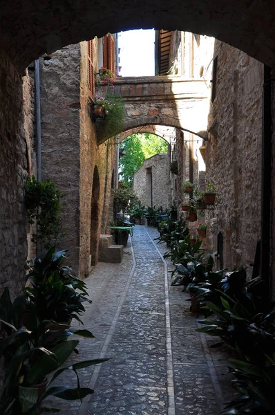 Encantadora Calle Antigua Ciudades Medievales Italia —  Fotos de Stock