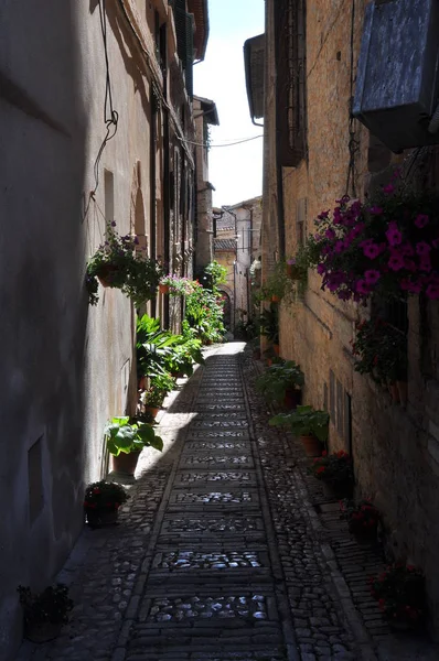 Encantadora Calle Antigua Ciudades Medievales Italia — Foto de Stock