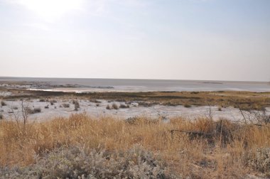 Etosha Ulusal Parkı Manzarası, Namibya