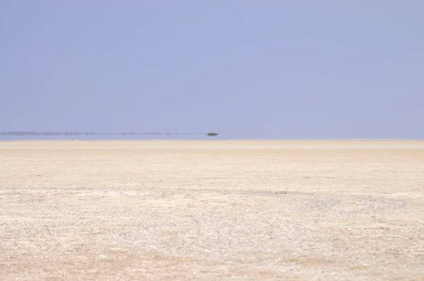 Landschap Van Etosha National Park Namibië — Stockfoto