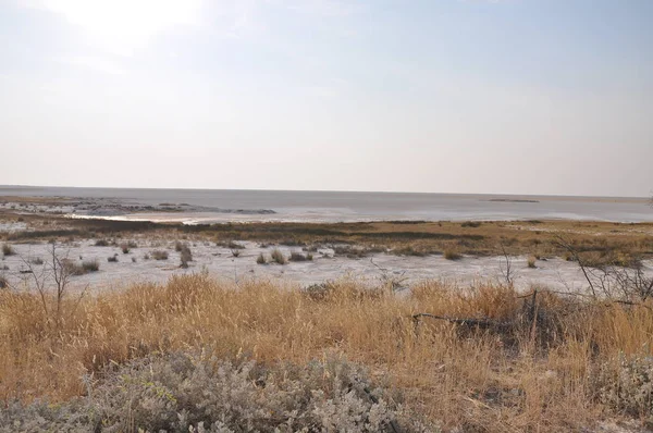 Paisaje Del Parque Nacional Etosha Namibia — Foto de Stock