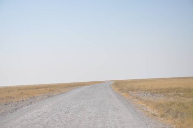 Etosha Ulusal Parkı Manzarası, Namibya