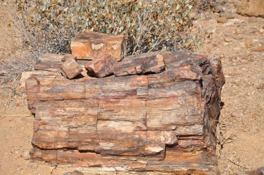 Namibya, Afrika Damaraland görünümünü