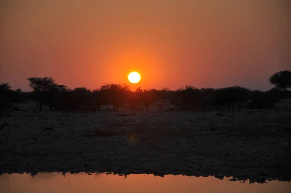 Paisaje Del Parque Nacional Etosha Namibia — Foto de Stock