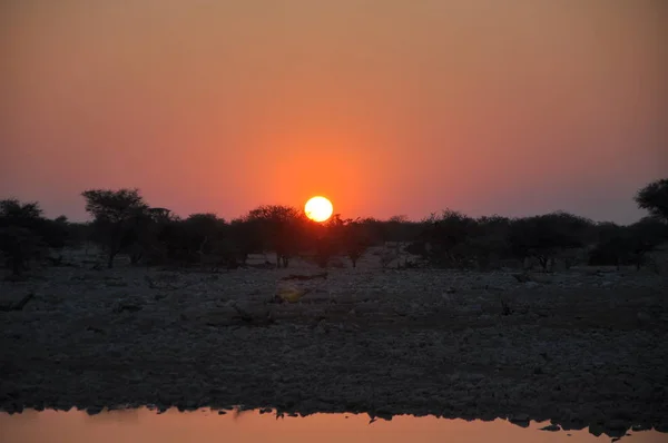 Paisaje Del Parque Nacional Etosha Namibia — Foto de Stock