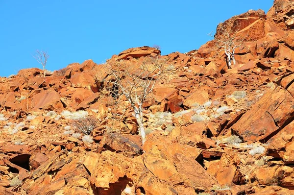 Fessura Roccia Granitica Spitzkoppe — Foto Stock