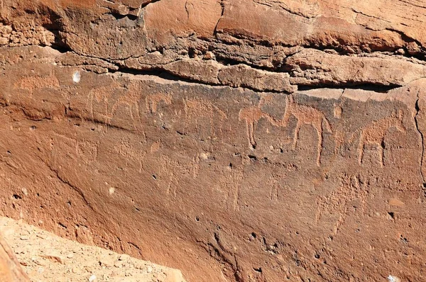 Prehistoric Bushman Engravings Twyfelfontein Namibia — Stock Photo, Image