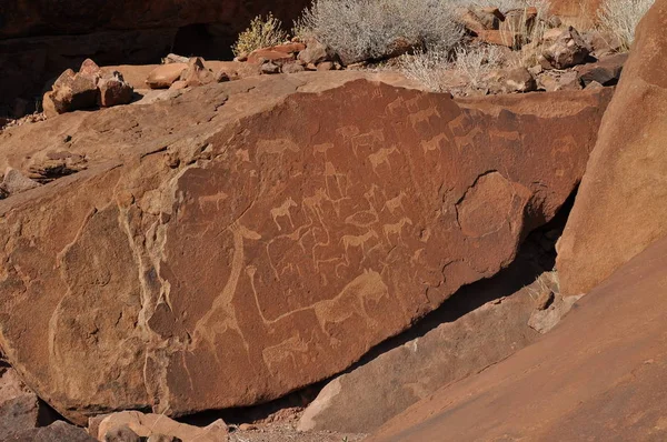 Twyfelfontein Namibya, tarih öncesi Bushmen gravür
