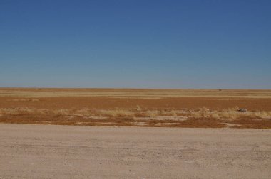 İskelet sahili manzara görünümü, Namibya