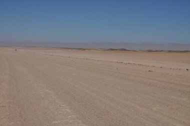 İskelet sahili manzara görünümü, Namibya