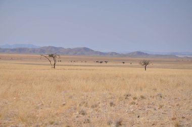 Namib çölünde Moonscape