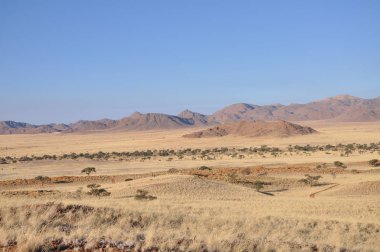 Solitaire yakınlarındaki Namib çölü manzara