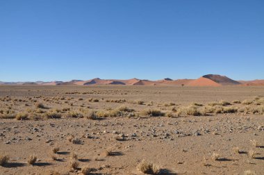 Namib çölündeki kum tepeleri