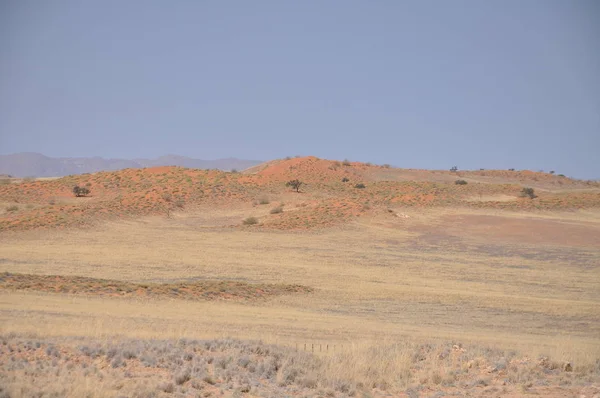 ナミブ砂漠の月景 — ストック写真