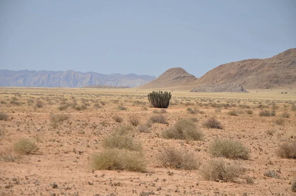 Krajina Pouště Namib Poblíž Solitaire — Stock fotografie