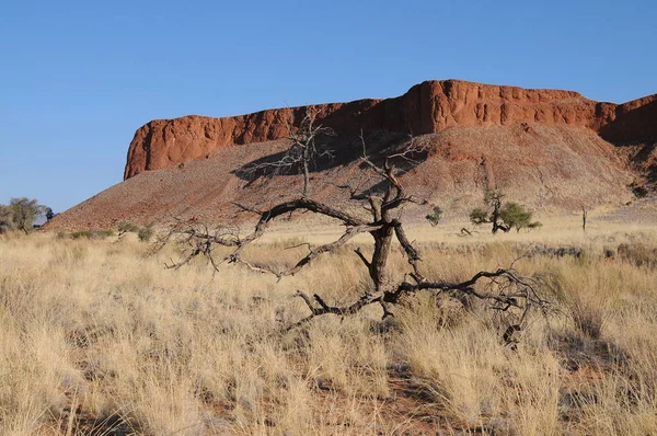 Paesaggio Del Deserto Del Namib Vicino Solitaire — Foto Stock