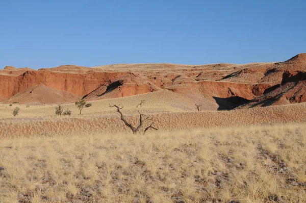 Krajina Pouště Namib Poblíž Solitaire — Stock fotografie