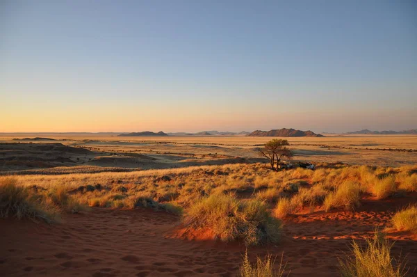 Paisagem Deserto Namib Perto Solitaire — Fotografia de Stock