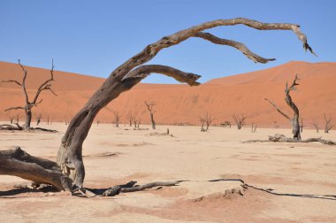 Sossusvlei, Namibya içinde Deadvlei görünümü