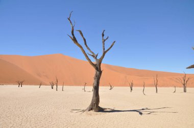 Sossusvlei, Namibya içinde Deadvlei görünümü
