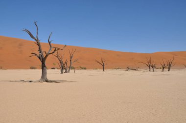 Sossusvlei, Namibya içinde Deadvlei görünümü