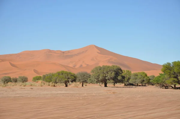 Bellissimo Paesaggio Sossusvlei Namibia — Foto Stock