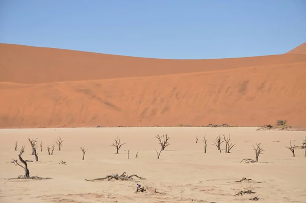 Blick Auf Deadvlei Sossusvlei Namibia — Stockfoto