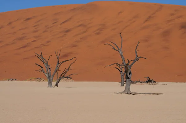 Vue Deadvlei Sossusvlei Namibie — Photo