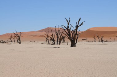 Sossusvlei, Namibya içinde Deadvlei görünümü