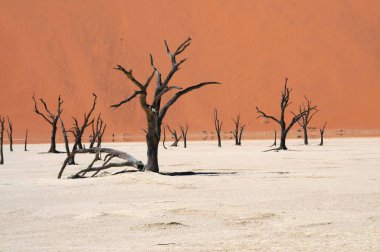 Sossusvlei, Namibya içinde Deadvlei görünümü