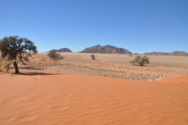 Sossusvlei, Namibya güzel manzara