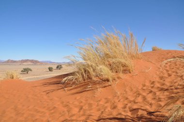 Sossusvlei, Namibya güzel manzara