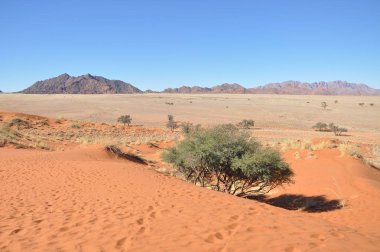 Sossusvlei, Namibya güzel manzara