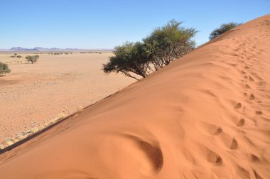 Sossusvlei, Namibya güzel manzara