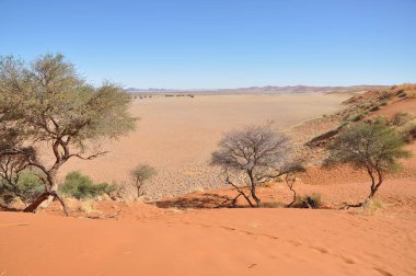 Sossusvlei, Namibya güzel manzara
