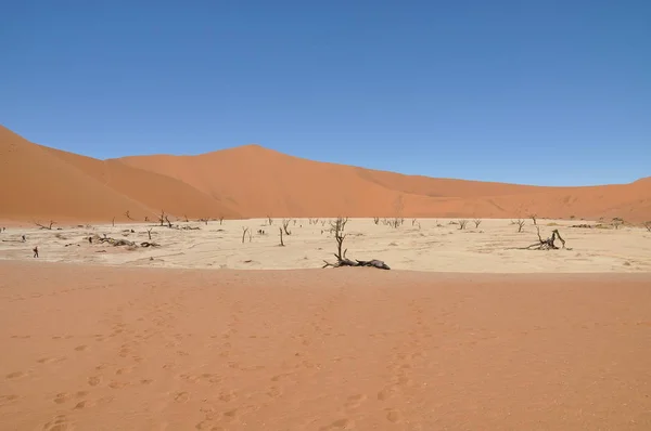 Sossusvlei Namibya Içinde Deadvlei Görünümü — Stok fotoğraf