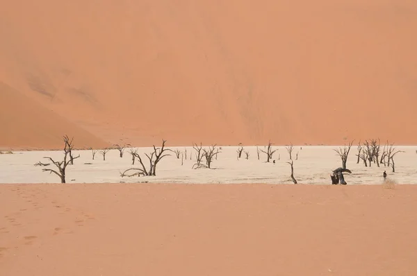 Uitzicht Deadvlei Sossusvlei Namibië — Stockfoto