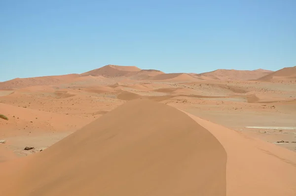 Beau Paysage Sossusvlei Namibie — Photo