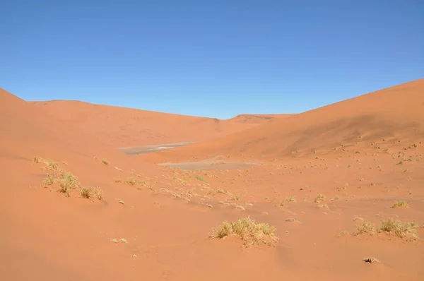 Beau Paysage Sossusvlei Namibie — Photo