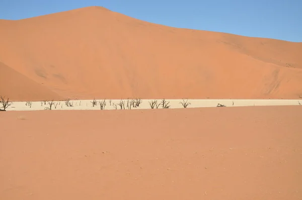 Vue Deadvlei Sossusvlei Namibie — Photo