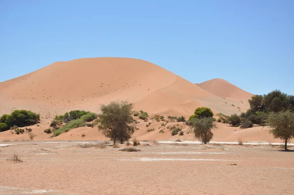 Hermoso Paisaje Sossusvlei Namibia —  Fotos de Stock