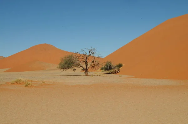 Piękny Krajobraz Sossusvlei Namibia — Zdjęcie stockowe