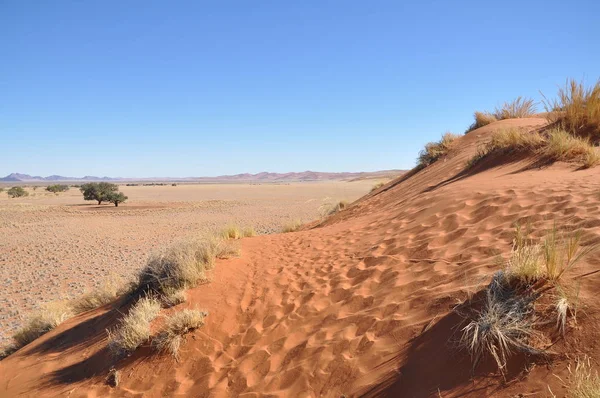 Красивый Пейзаж Соссвлей Намибия — стоковое фото