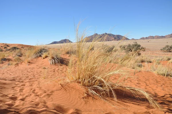 Krásná Krajina Sossusvlei Namibie — Stock fotografie