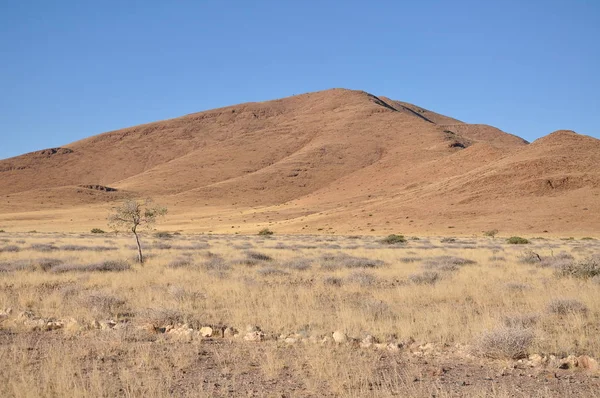 Paisaje Sesriem Desierto Namibia — Foto de Stock
