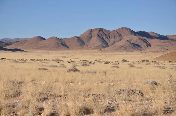 Landscape Sesriem Namibian Desert — Stock Photo, Image