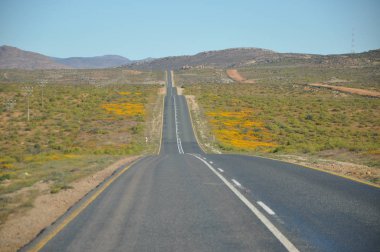Road in Namaqualand, South Africa clipart