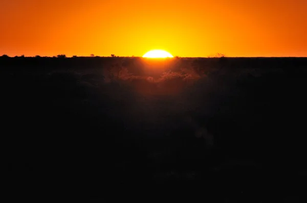 Peisajul Deșertului Kalahari Din Namibia — Fotografie, imagine de stoc