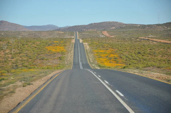 Road Namaqualand Νότια Αφρική — Φωτογραφία Αρχείου